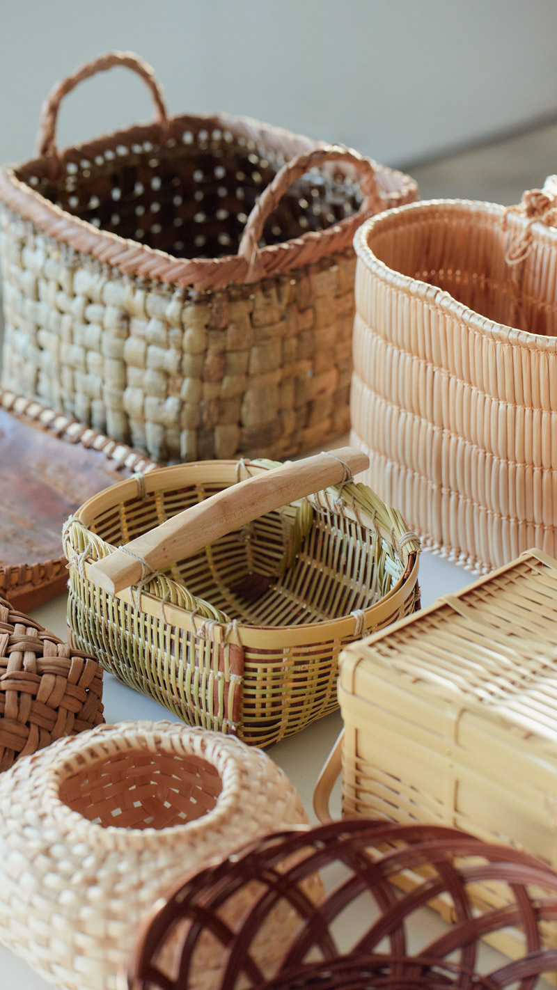 世界のかご カゴアミドリ