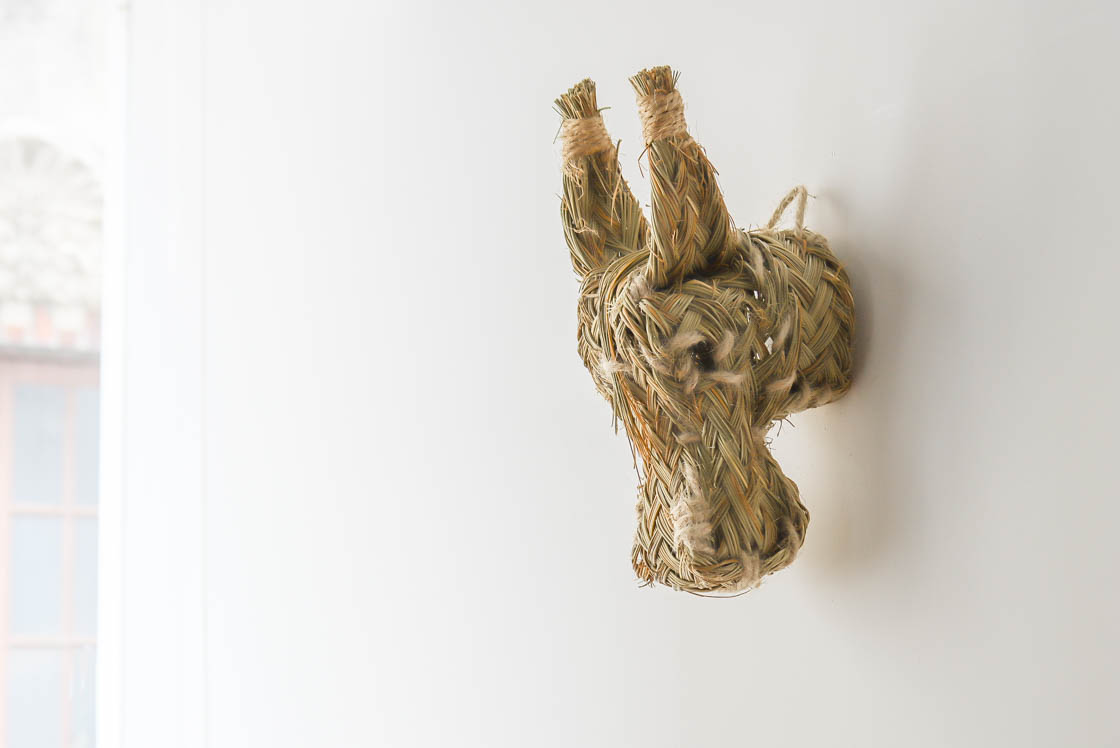 スペイン エスパルト ドンキー