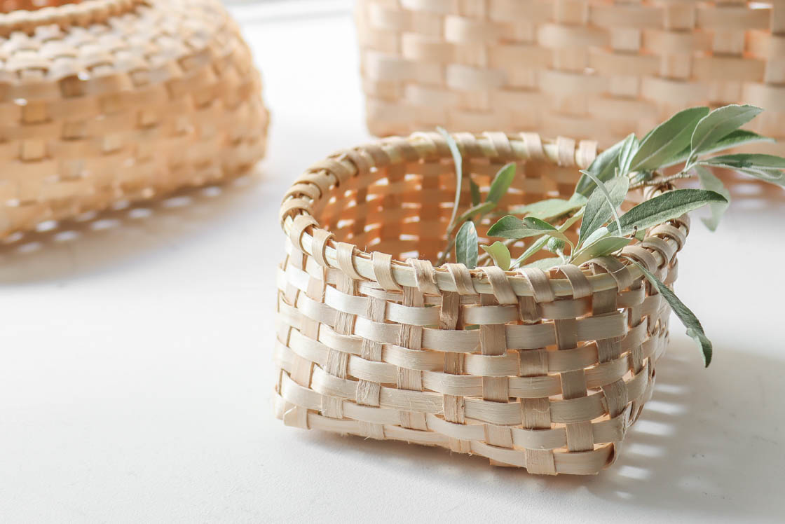 世界のかご カゴアミドリ