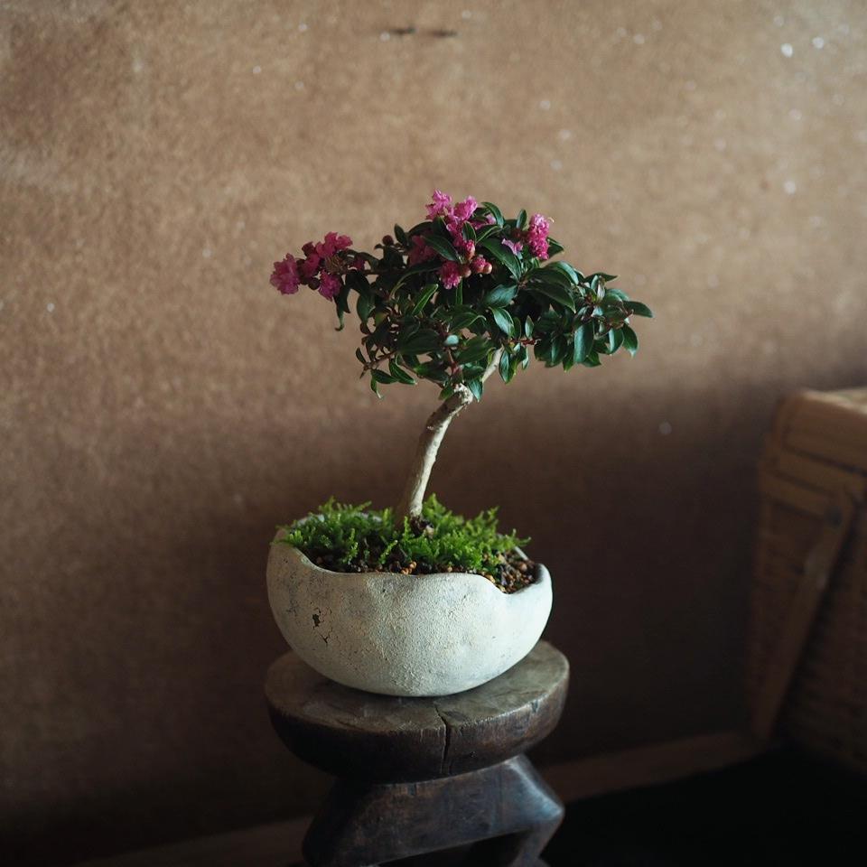 487502685_982972030696290_6553