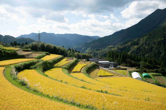 【トークイベント】2/26(木) 18時～19時半 「たくぼの棚田とものづくり」